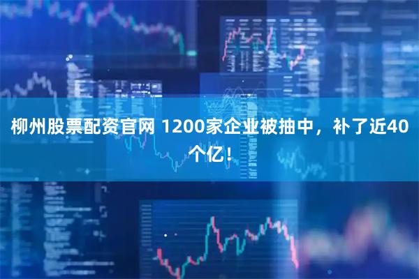 柳州股票配资官网 1200家企业被抽中，补了近40个亿！