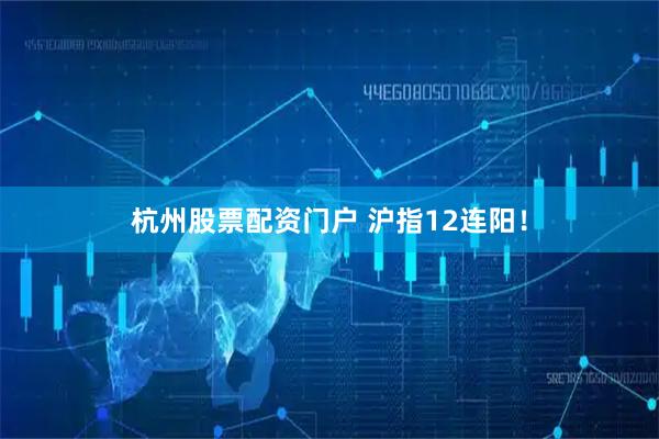 杭州股票配资门户 沪指12连阳！